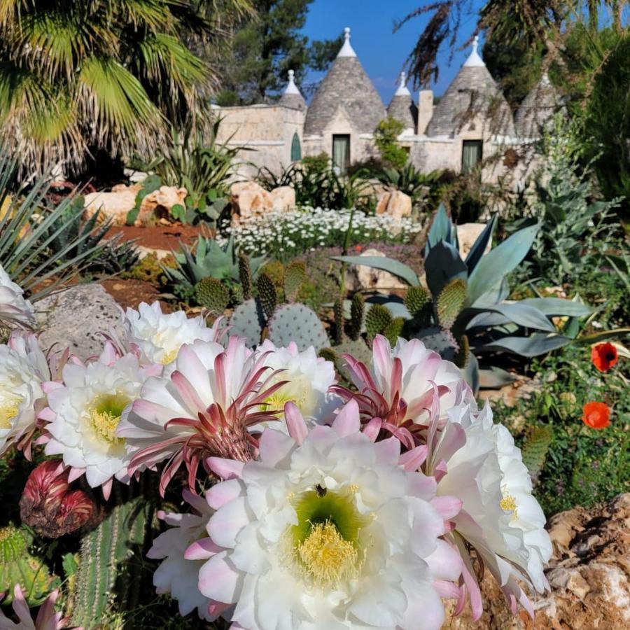 Trullo Bosco Libero Ostuni Vila Exterior foto