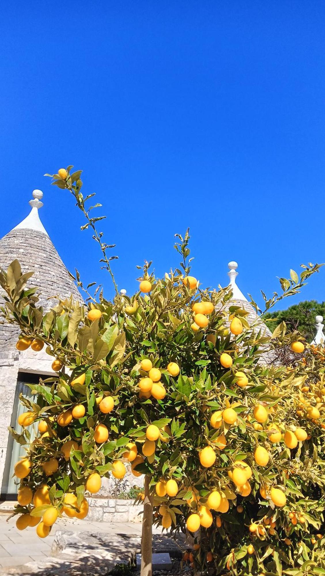 Trullo Bosco Libero Ostuni Vila Exterior foto