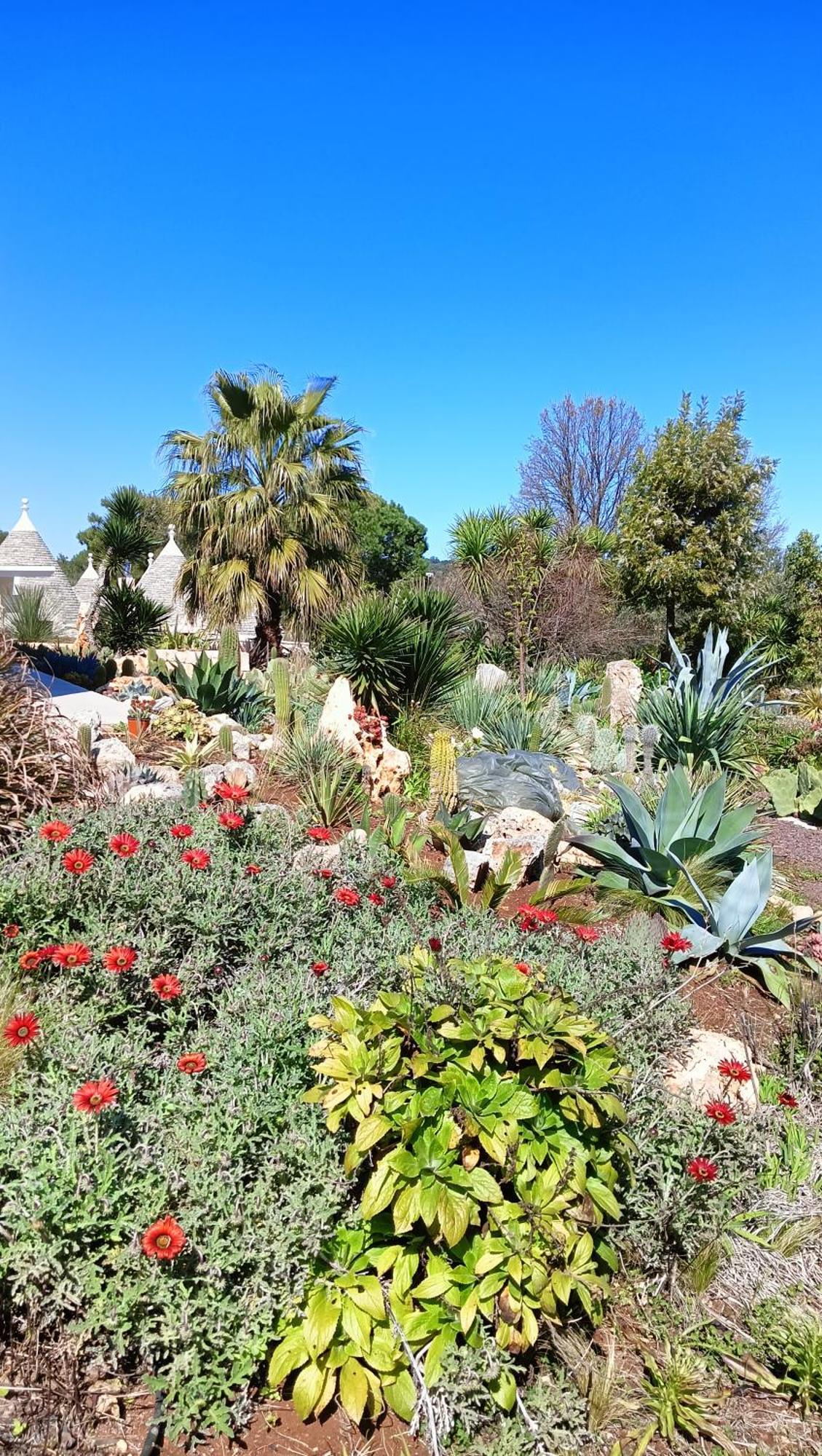 Trullo Bosco Libero Ostuni Vila Exterior foto